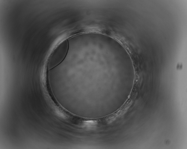 X0000103410053200809121315