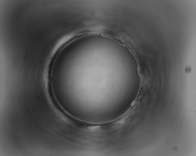 X0000103410054200809121315