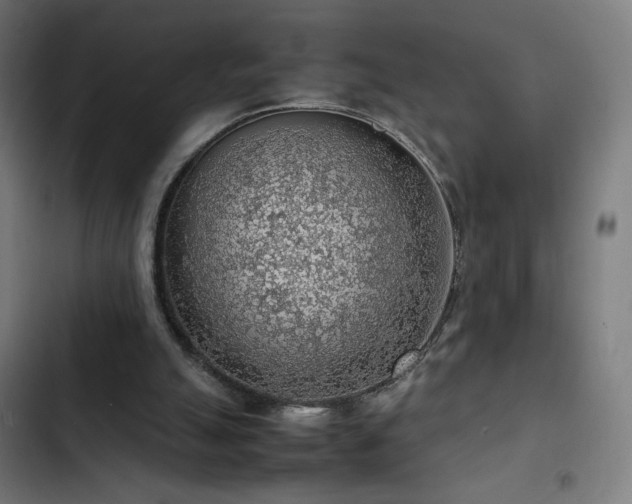 X0000103410055200809121315