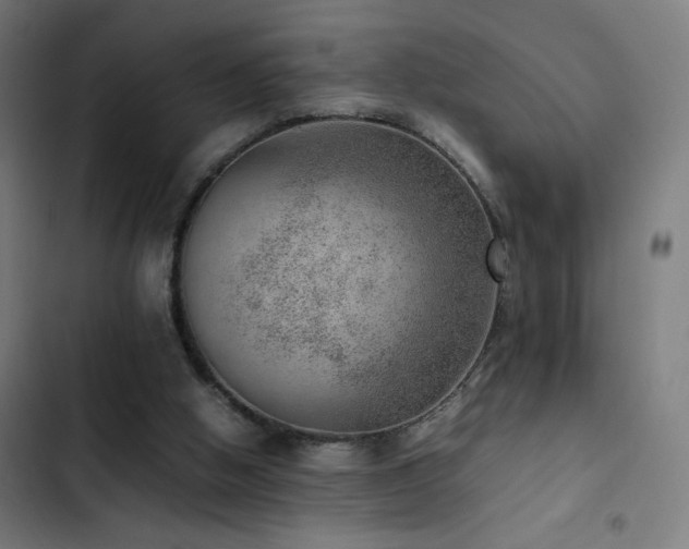 X0000103410058200809121315