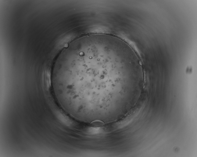 X0000103410061200809121315