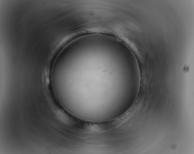 X0000103410062200809121315