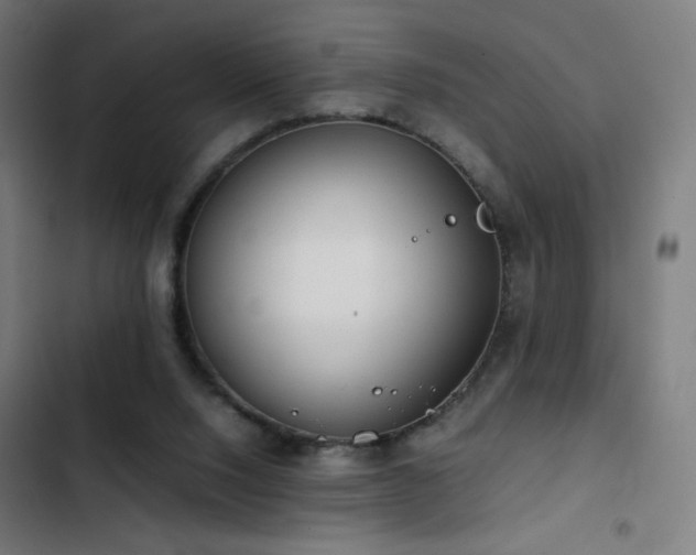 X0000103410064200809121315