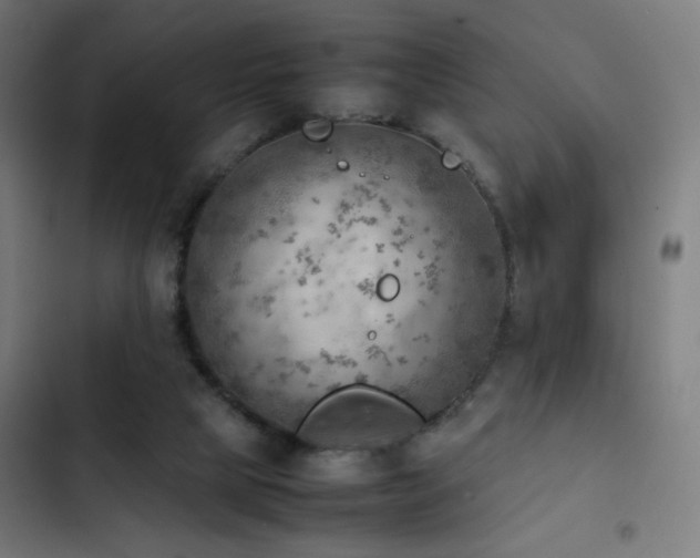 X0000103410065200809121315