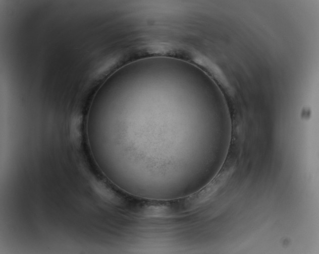 X0000103410066200809121315