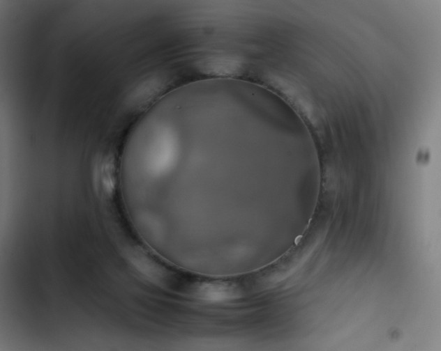 X0000103410069200809121315