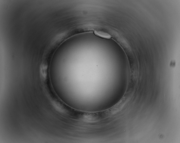 X0000103410070200809121315