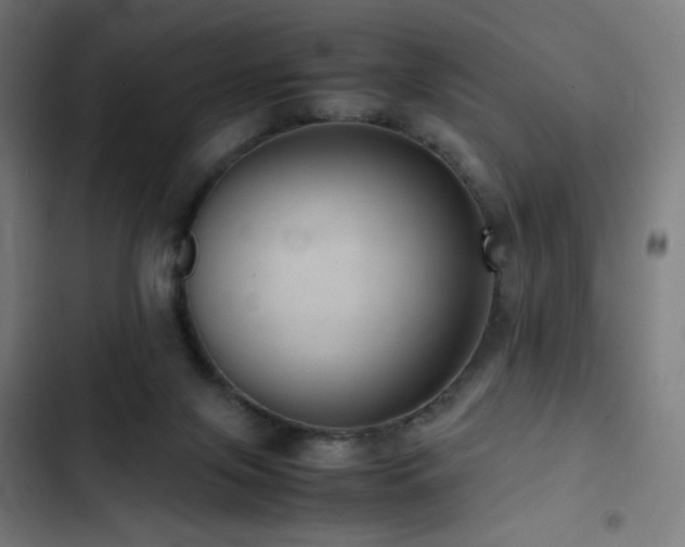 X0000103410071200809121315