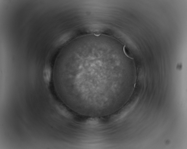 X0000103410076200809121315