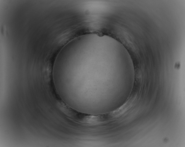 X0000103410082200809121315