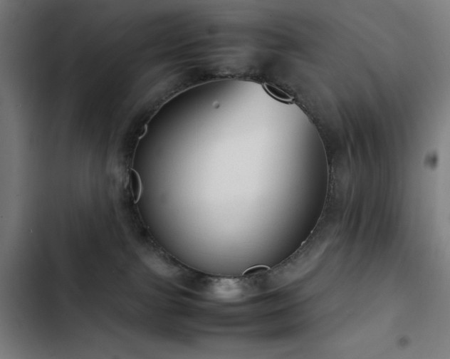 X0000103410091200809121315