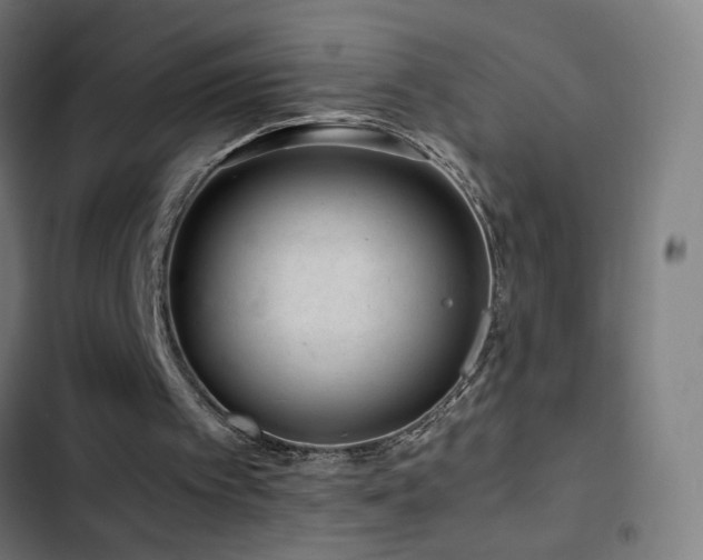 X0000103410097200809121315