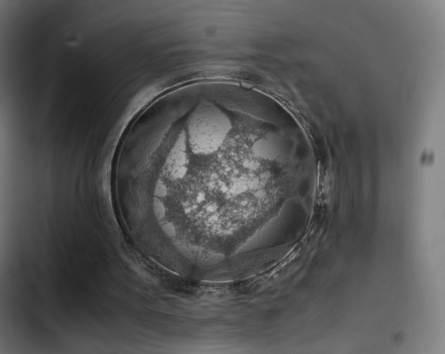 X0000103410099200809121315