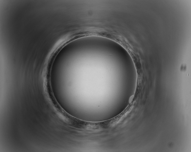 X0000103410101200809121314