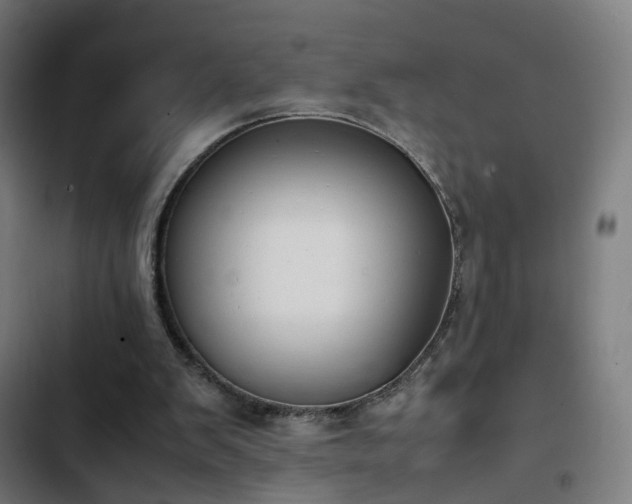 X0000103410103200809121314