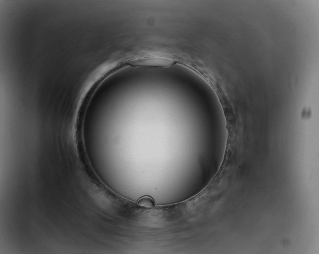 X0000103410104200809121314