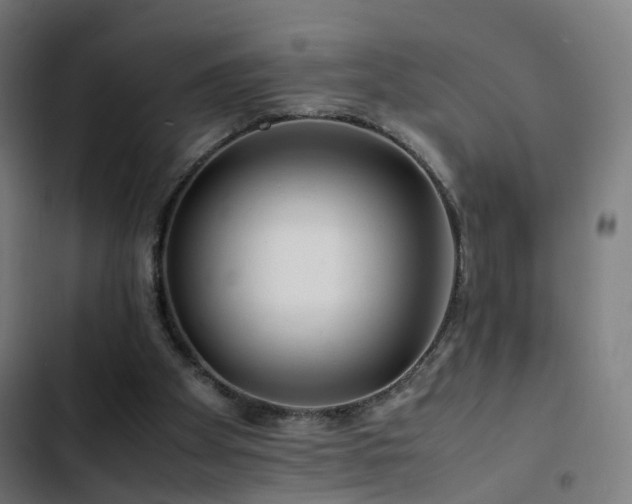 X0000103410105200809121314