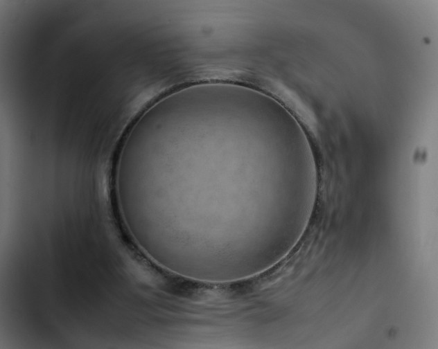 X0000103410107200809121314