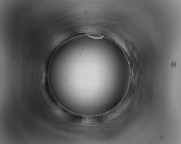 X0000103410109200809121314