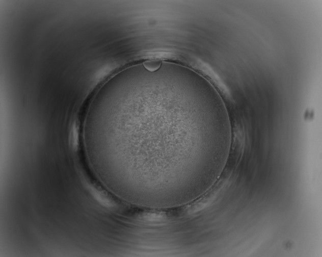 X0000103410110200809121314