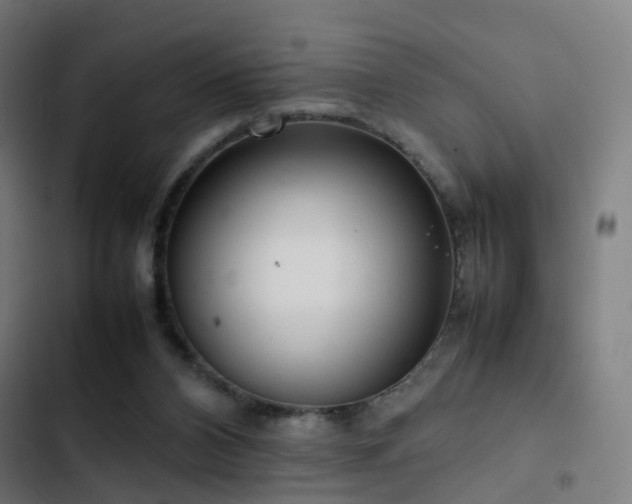 X0000103410112200809121314