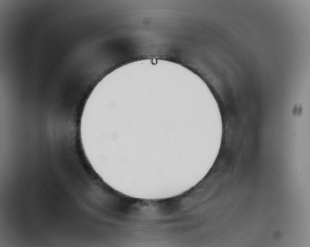 X0000103410113200809121314