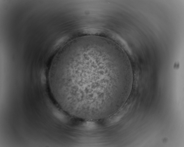 X0000103410114200809121314