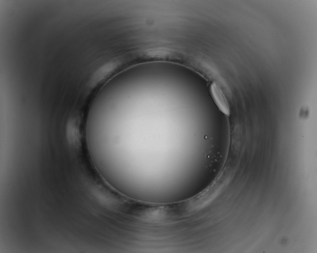 X0000103410116200809121314