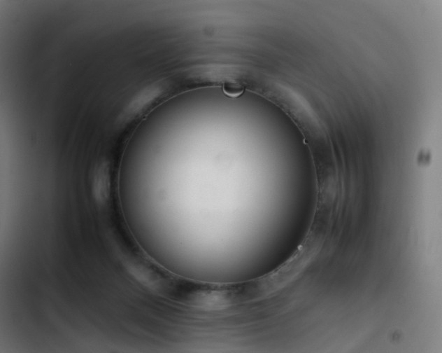 X0000103410120200809121314