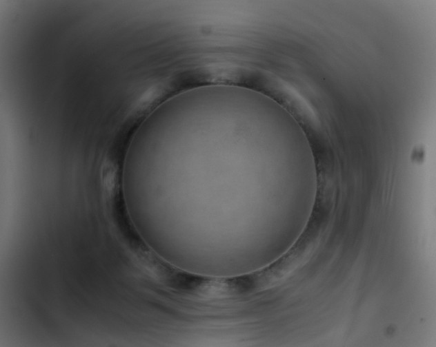 X0000103410123200809121314