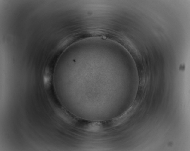 X0000103410124200809121314