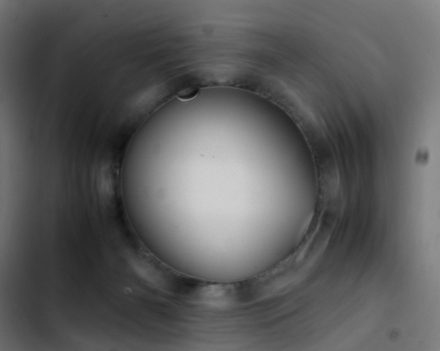 X0000103410126200809121314