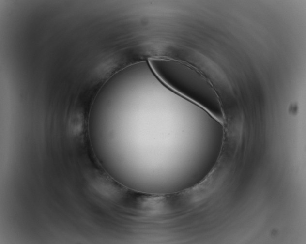 X0000103410132200809121314