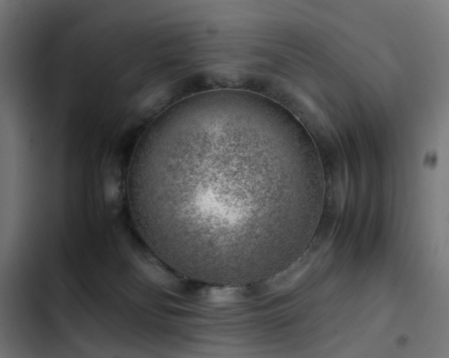 X0000103410134200809121314