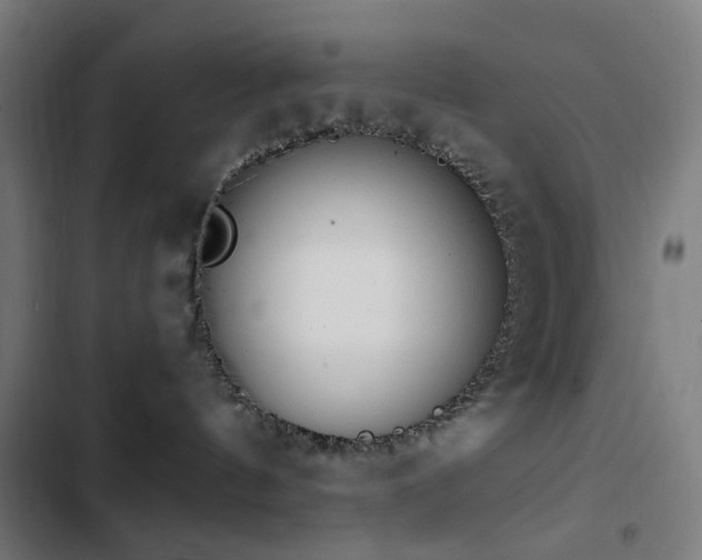 X0000103410144200809121314