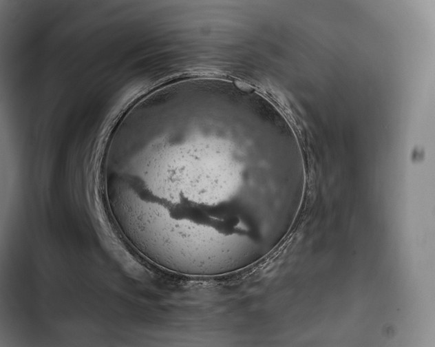 X0000103410145200809121313