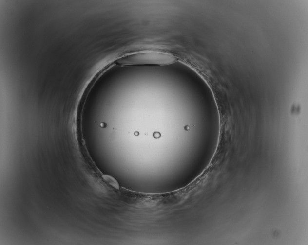 X0000103410148200809121313