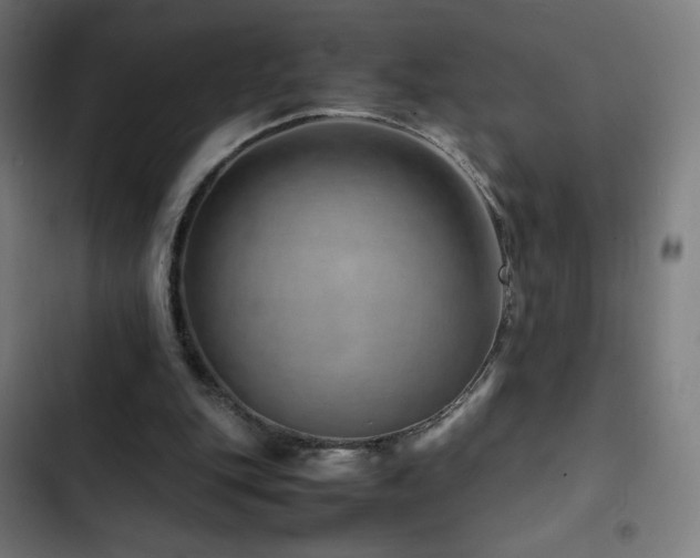 X0000103410151200809121313