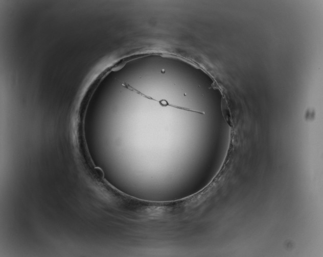 X0000103410152200809121313