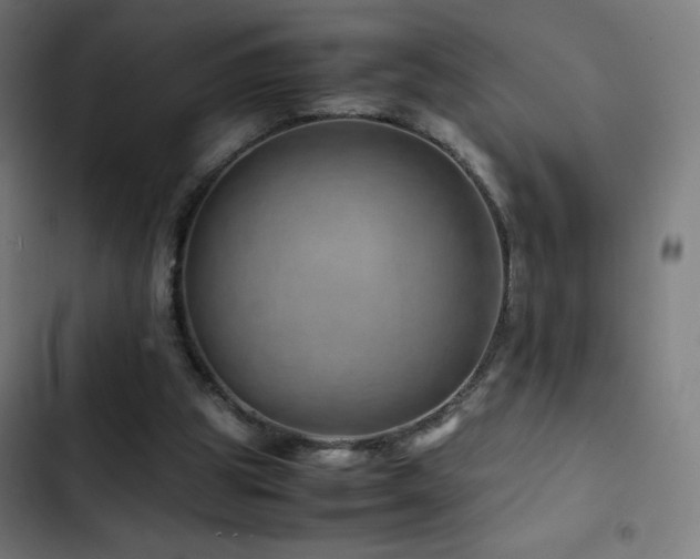 X0000103410153200809121313