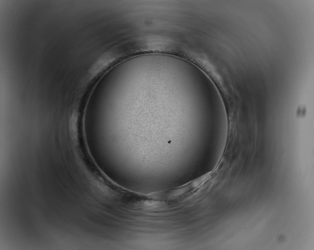 X0000103410154200809121313