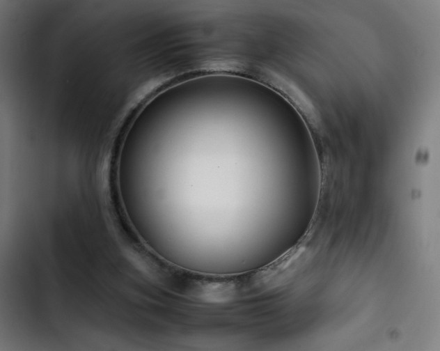 X0000103410155200809121313