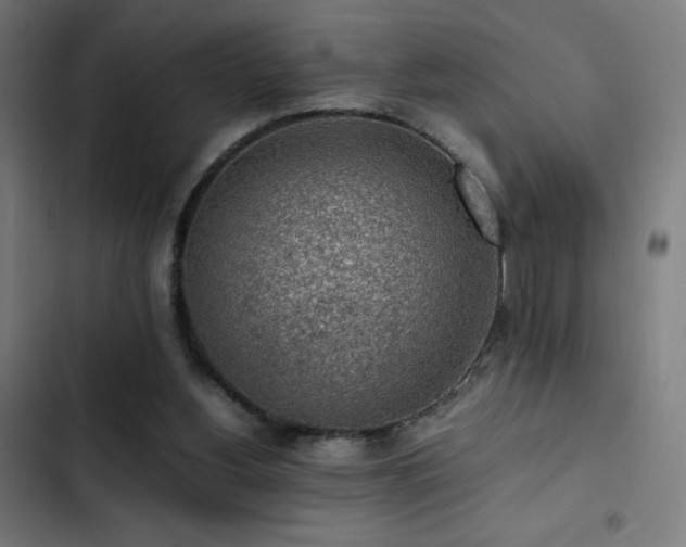 X0000103410156200809121313