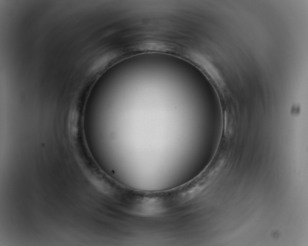 X0000103410157200809121313