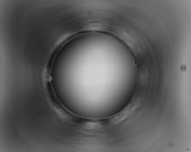 X0000103410160200809121313