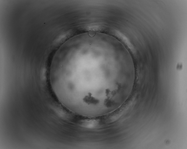 X0000103410161200809121313