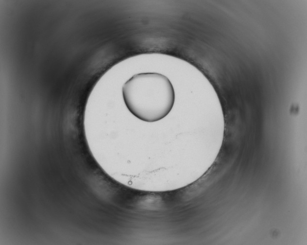 X0000103410162200809121313