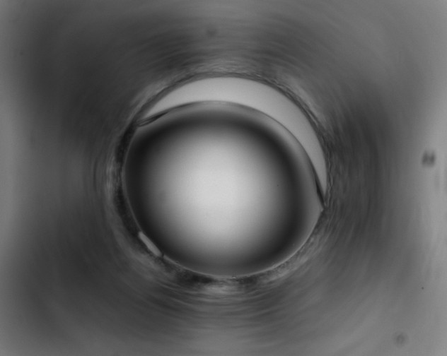 X0000103410164200809121313