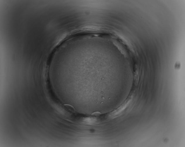 X0000103410168200809121313