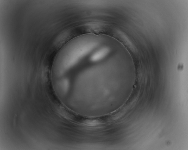 X0000103410169200809121313